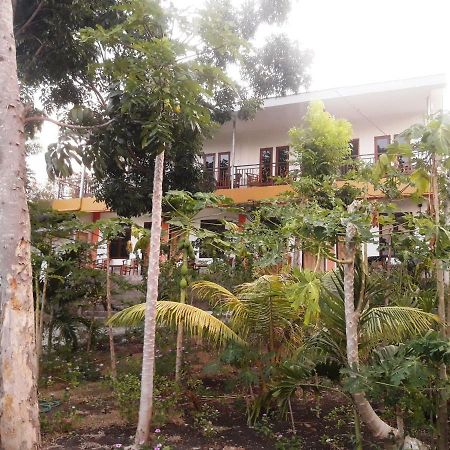 The Teuz B&B Labuan Bajo Exterior foto
